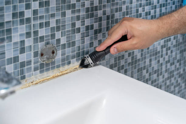 Best Professional Mold Removal  in Kennett Square, PA